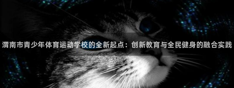 3377体育官方集团官网：渭南市青少年体育运动学校的