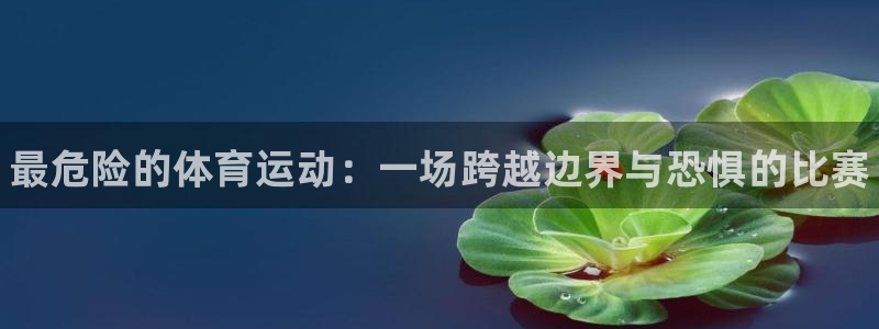 3377体育官方正版app集团：最危险的体育运动：一场跨越边