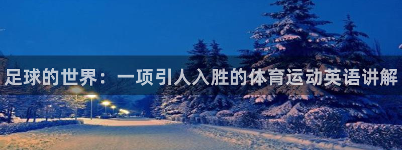 注册3377体育官方正版app：足球的世界：一项引人入胜的体