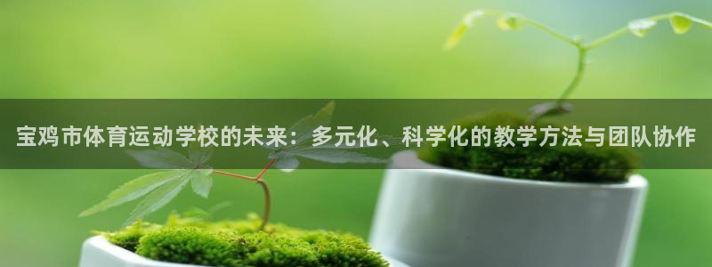 3377体育官网下载招商电话号码是多少：宝鸡市体育运动学校的