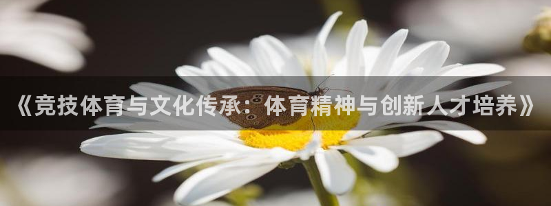 3377体育官方平台体育：《竞技体育与文化传承：体育