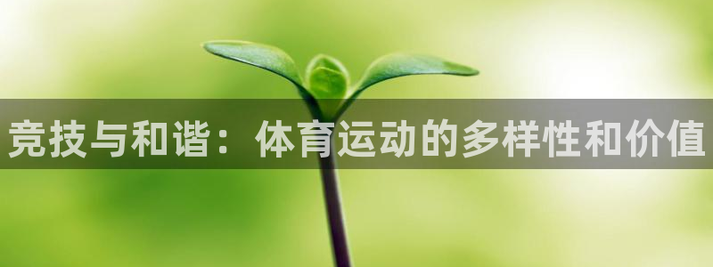 3377体育官方正版app集团logo：竞技与和谐：