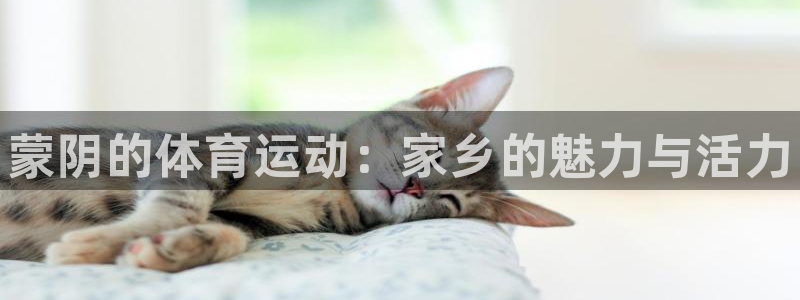 3377体育官方正版app娱乐首页网站大全：蒙阴的体育运动：