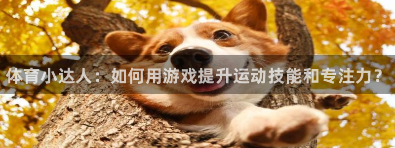 3377体育官网下载开户：体育小达人：如何用游戏提升运动技能