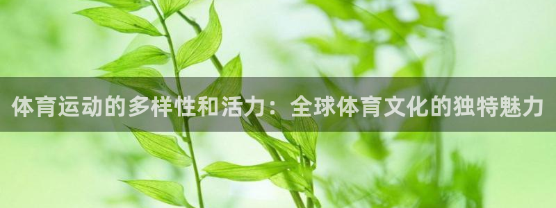 3377体育官网下载注册：体育运动的多样性和活力：全球体育文