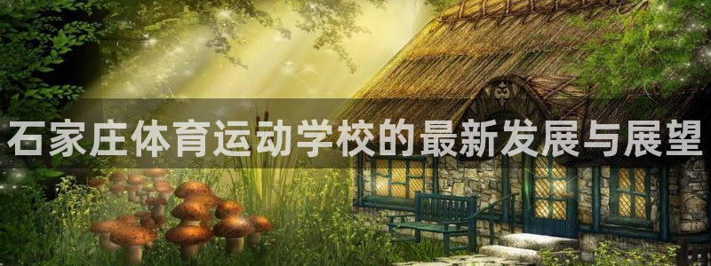 3377体育官方正版app集团简介：石家庄体育运动学