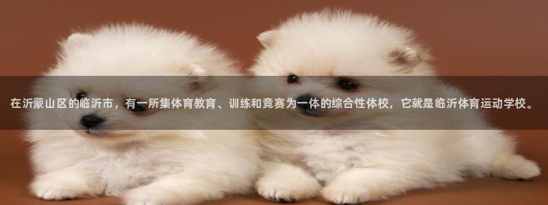 3377体育官网下载