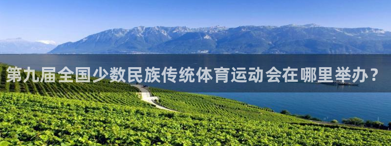 3377体育官方正版app代理