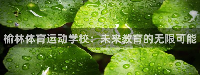 3377体育官方正版app神州：榆林体育运动学校：未来教育的