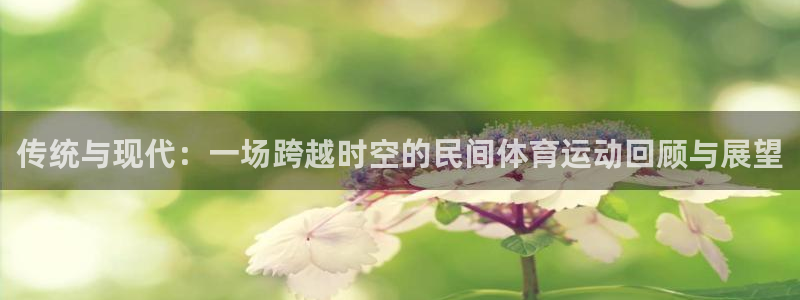 3377体育官方正版app娱乐下载：传统与现代：一场跨越时空