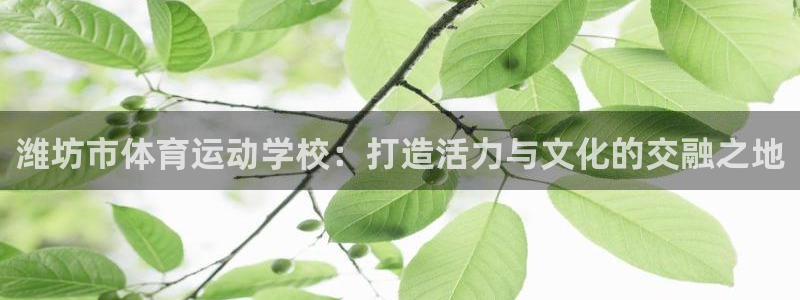 3377体育官网下载平台APP：潍坊市体育运动学校：