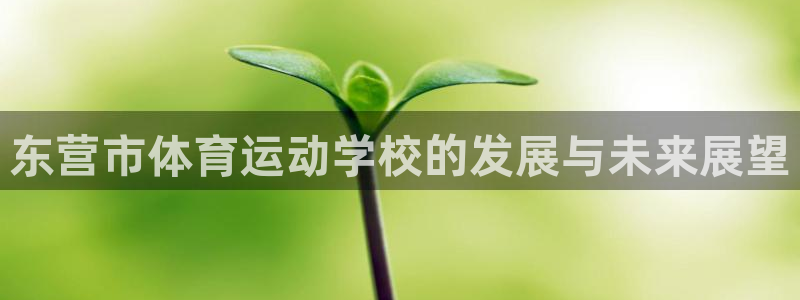 3377体育官方正版app集团官网网址：东营市体育运动学校的