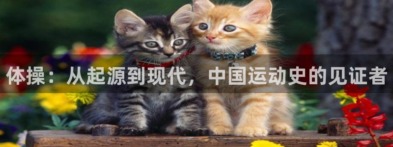 3377体育官方正版app娱乐平台：体操：从起源到现代，中国