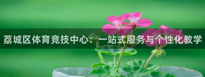 3377体育官方正版app新能源：荔城区体育竞技中心：一站式