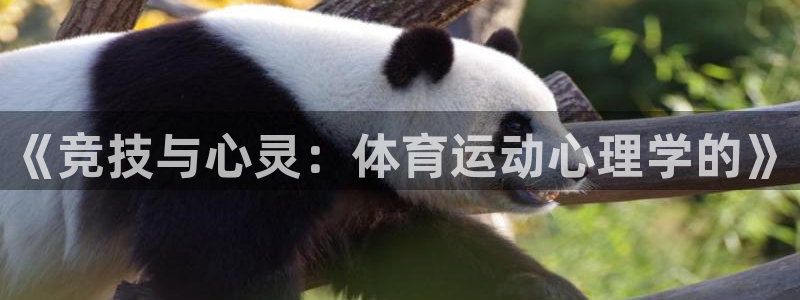 3377体育官网下载是干嘛的公司