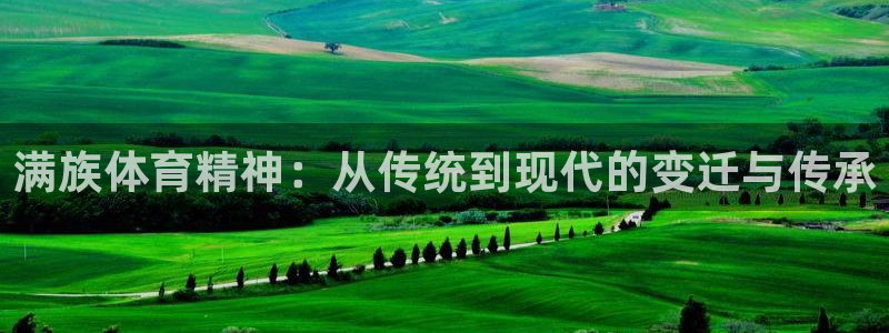 3377体育官方正版app集团logo：满族体育精神