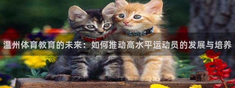 3377体育app官网下载最新版本2023年